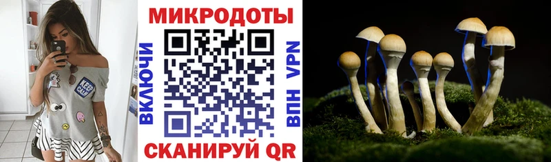 Псилоцибиновые грибы GOLDEN TEACHER  МЕГА ТОР  Цоци-Юрт  как найти закладки 